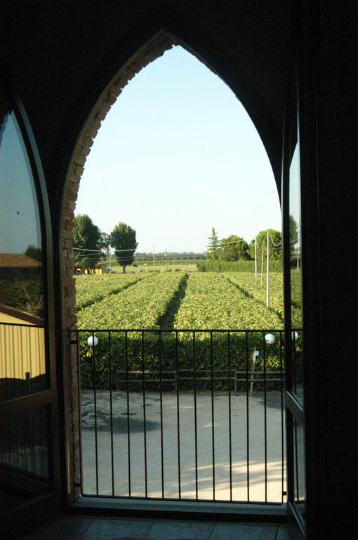Locanda Merlaschio Faenza Phòng bức ảnh