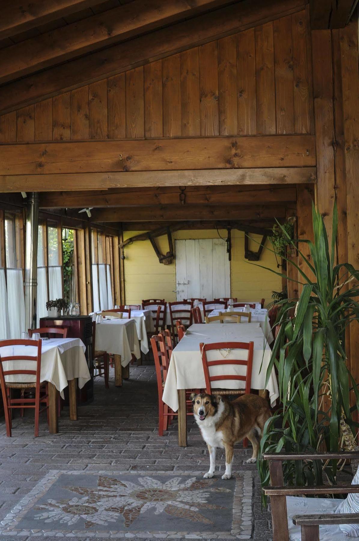 Locanda Merlaschio Faenza Ngoại thất bức ảnh